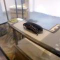 120920_ProlinaniSvetu_36