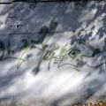 121022_NitraStreet_30