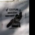 121022_NitraStreet_31