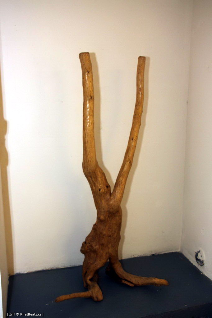 121103_Stech_08