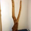 121103_Stech_08