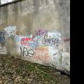 121116_Karlak_23