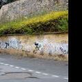 121116_Karlak_28