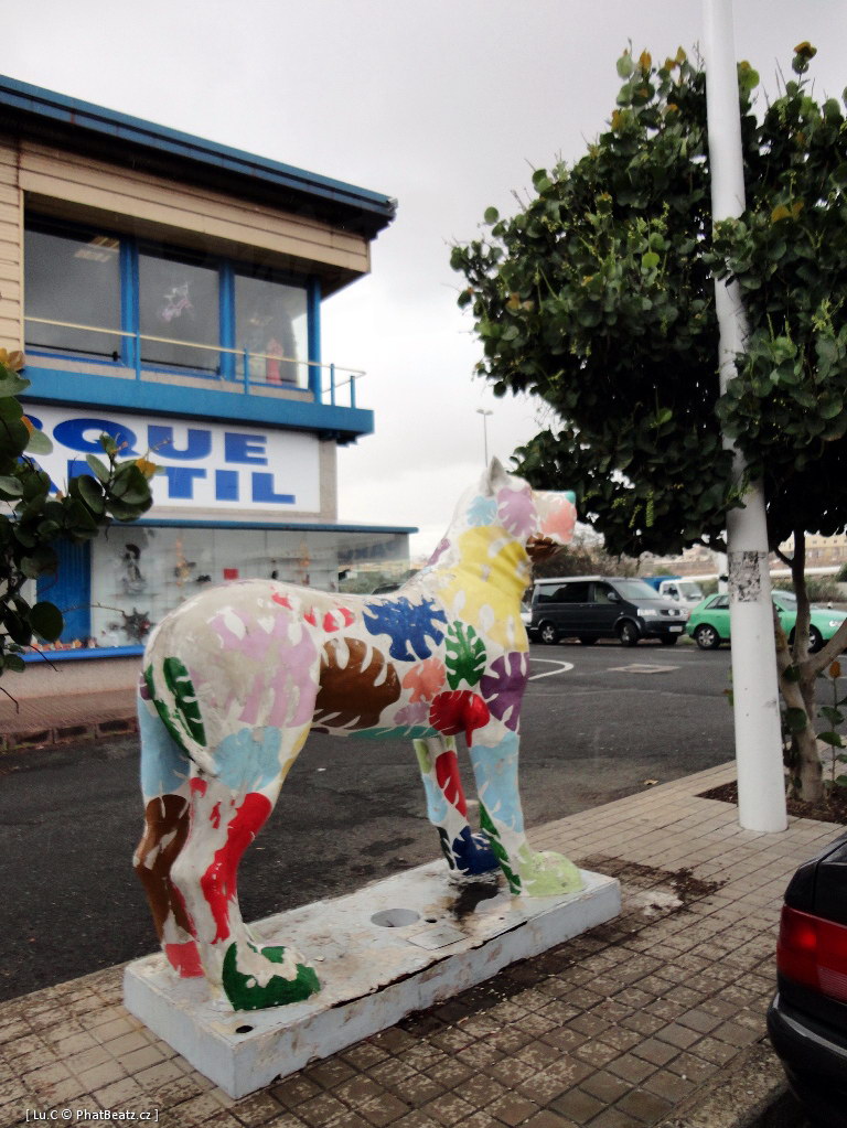 1211_GranCanaria_42
