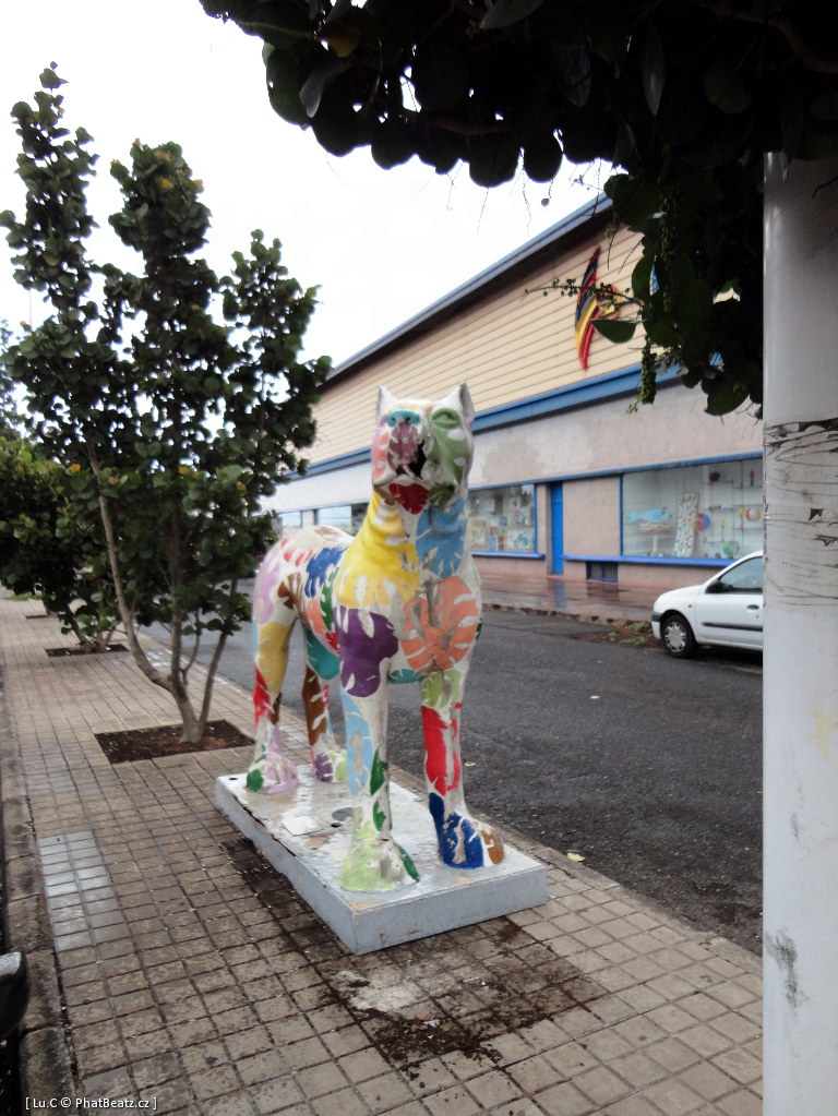 1211_GranCanaria_43