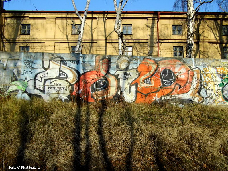 121208_Dejvice_33