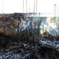 121208_Dejvice_52