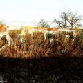 121208_Dejvice_56