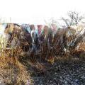 121208_Dejvice_57