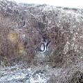 121208_Dejvice_63