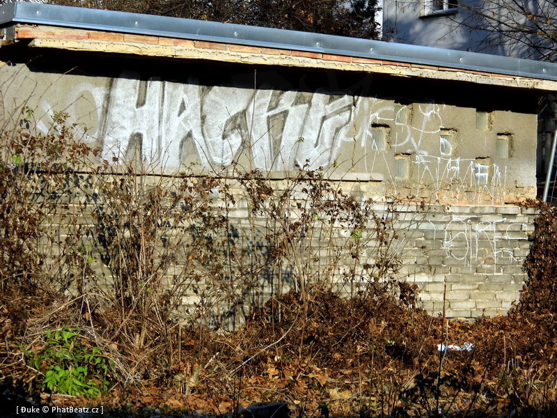 121208_Hradcanska-Letna_34