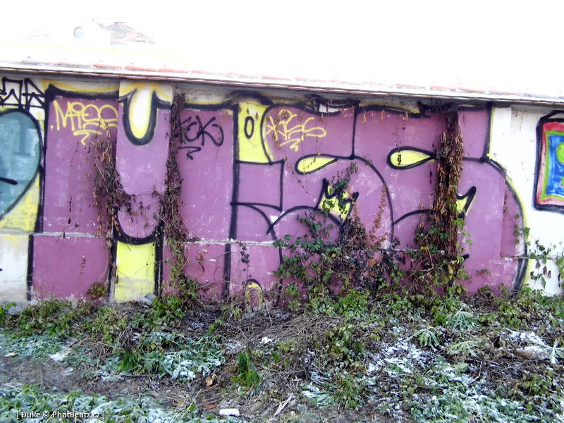 121208_Hradcanska-Letna_49