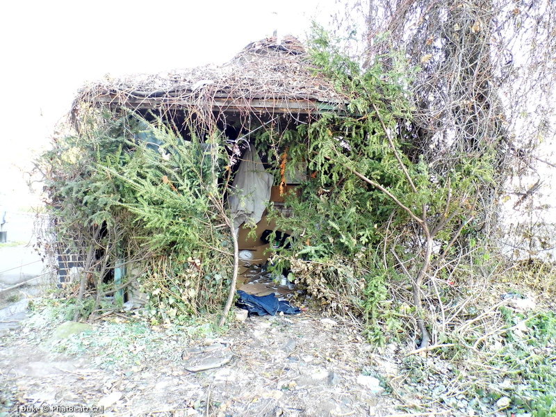 121208_Hradcanska-Letna_53