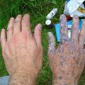 12_080802_Budejice