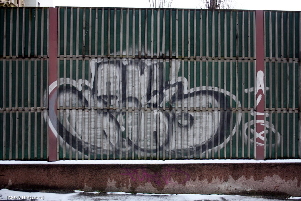 130110_Hodonin_35
