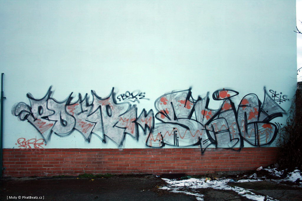 130110_Hodonin_74