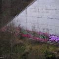 130110_Louny_01