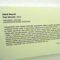 130112_3zTrafacky_14