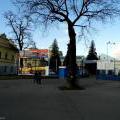 130112_MorskySvet_01