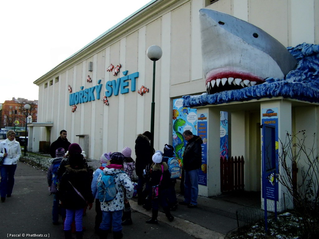 130112_MorskySvet_03