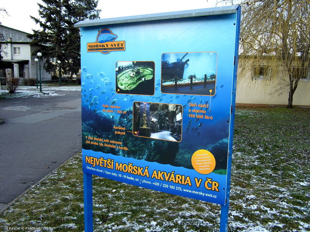 130112_MorskySvet_05