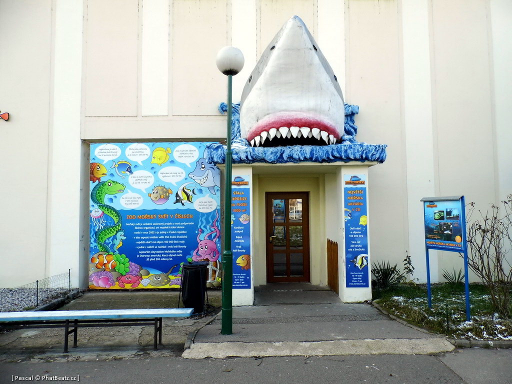 130112_MorskySvet_06