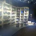 130112_MorskySvet_08