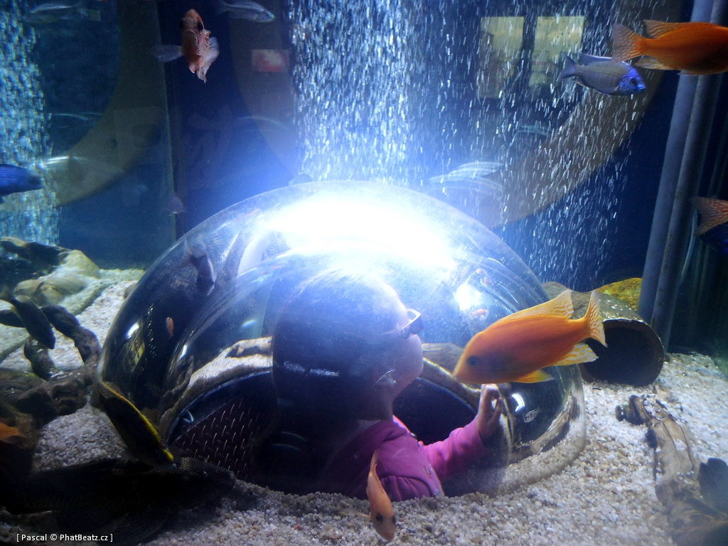 130112_MorskySvet_11
