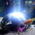 130112_MorskySvet_11