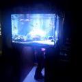 130112_MorskySvet_12