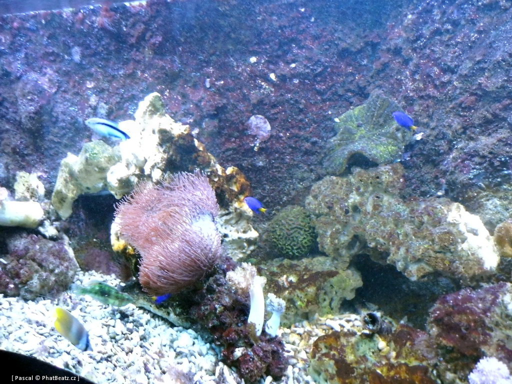 130112_MorskySvet_21