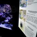 130112_MorskySvet_22