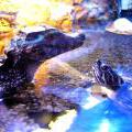 130112_MorskySvet_23