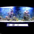 130112_MorskySvet_25