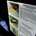 130112_MorskySvet_27