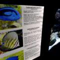 130112_MorskySvet_28