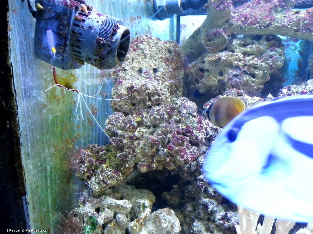 130112_MorskySvet_30