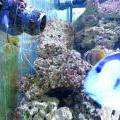 130112_MorskySvet_30