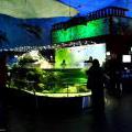 130112_MorskySvet_31