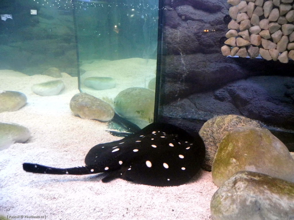 130112_MorskySvet_32