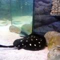 130112_MorskySvet_32