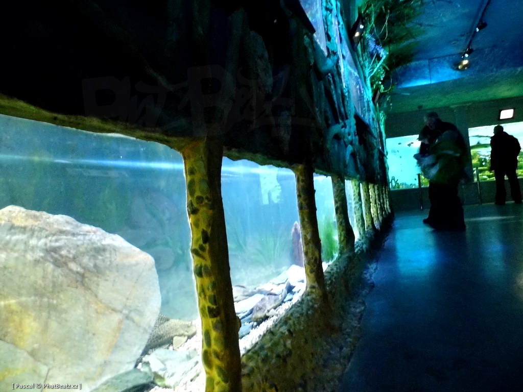 130112_MorskySvet_33