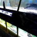 130112_MorskySvet_35