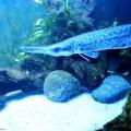 130112_MorskySvet_37
