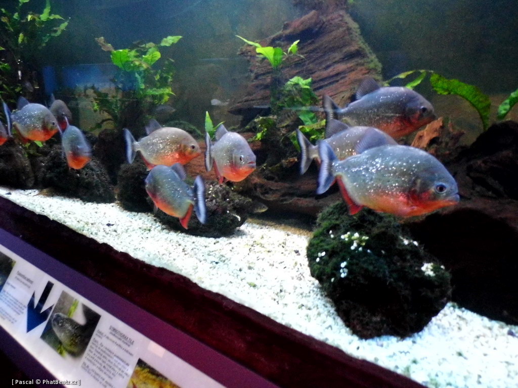 130112_MorskySvet_38