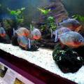 130112_MorskySvet_38