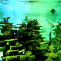130112_MorskySvet_39