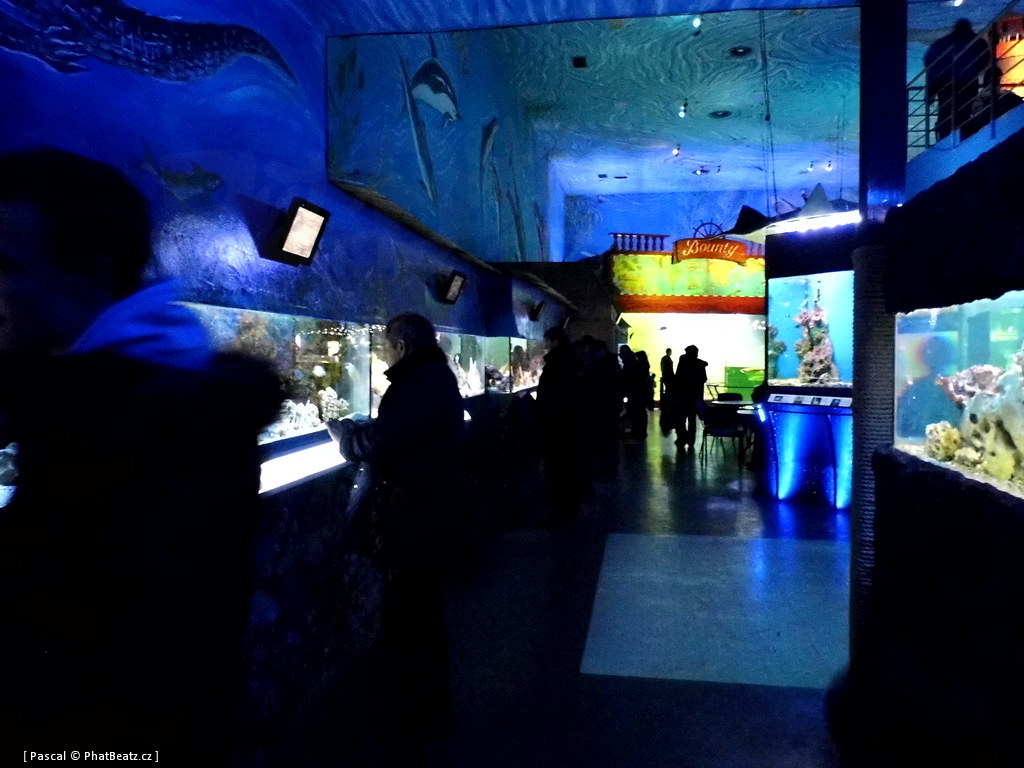 130112_MorskySvet_44
