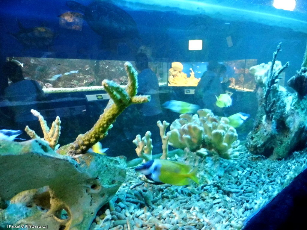 130112_MorskySvet_45