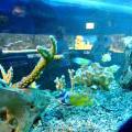 130112_MorskySvet_45